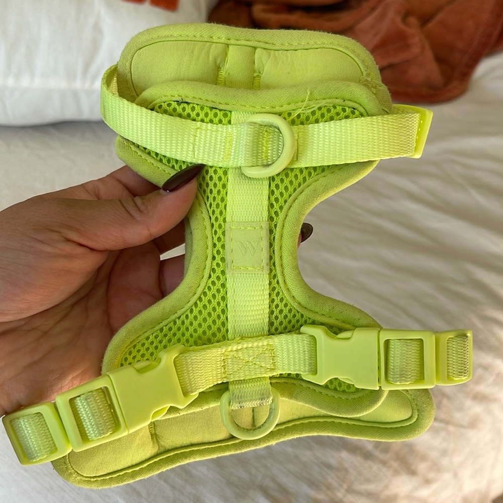 XS Wild One Harness